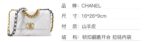 [Early Spring Series] CHANEL Chanel Chanel 19Bag Diamond Flap Leather Chain Chain Sheepskin Handheld Shoulder Crossbody Bag Regular Women's White - Image 13